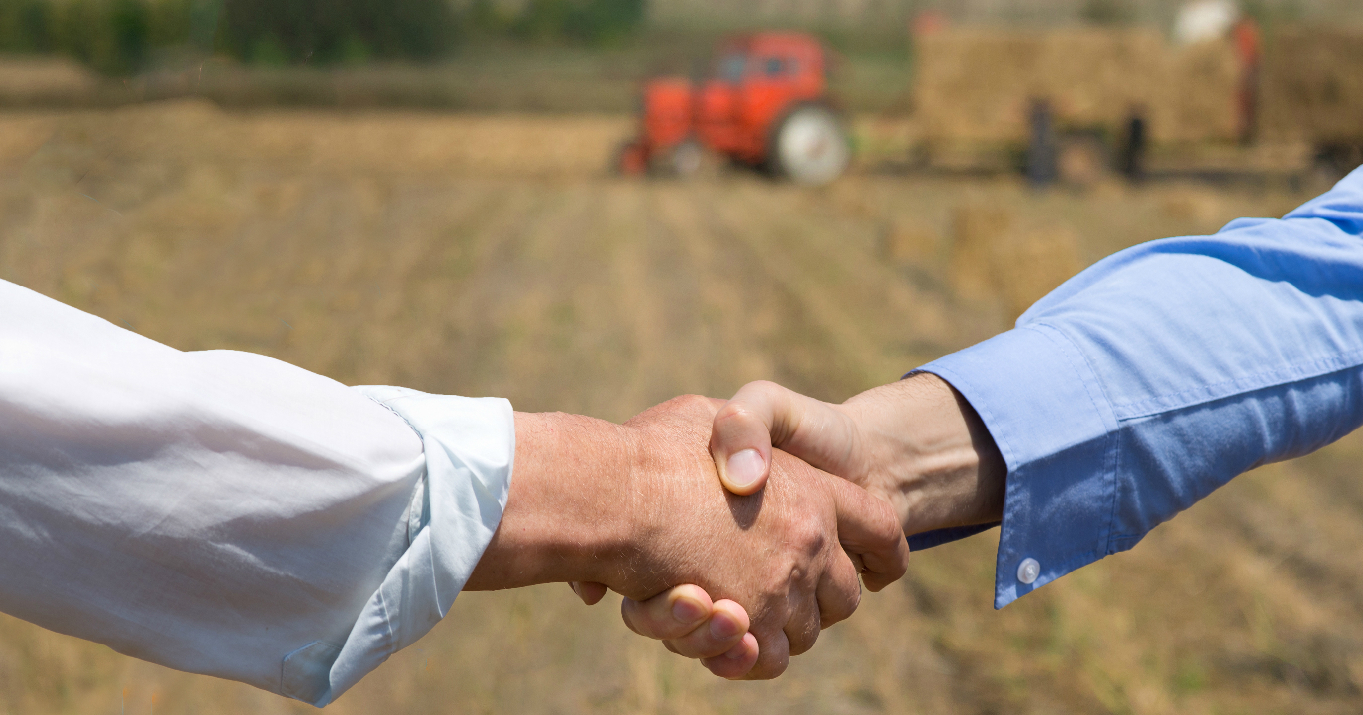 Entenda como funcionam as cooperativas de agronegócio